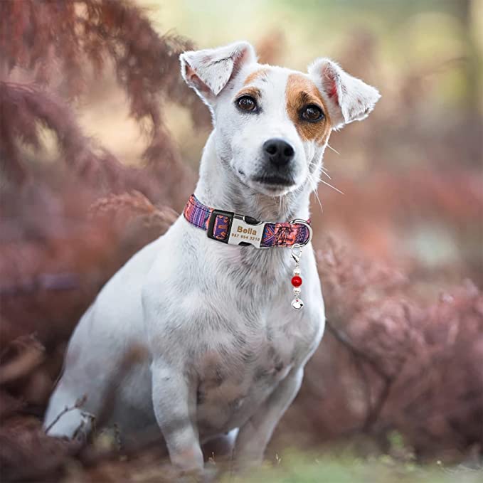 Silver Bell Pearl Pet Collar Charms