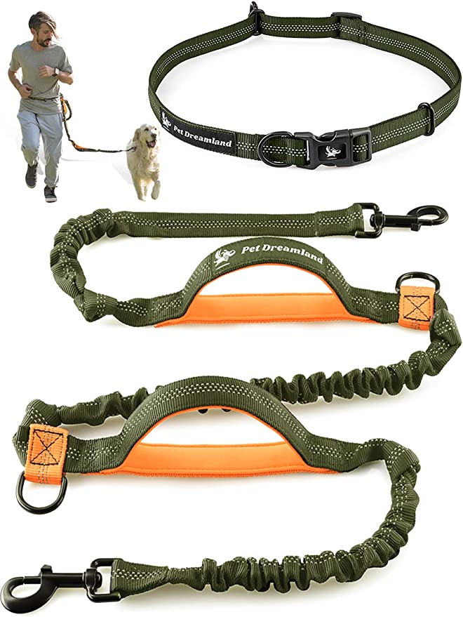 Hands-Free Reflective Retractable Bungees Dog Leash