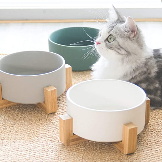Modern Ceramic Pet Bowl with Bamboo Frame