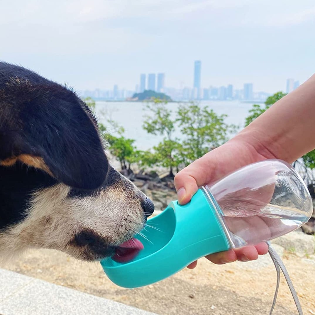 Pet Travel Water Bottle