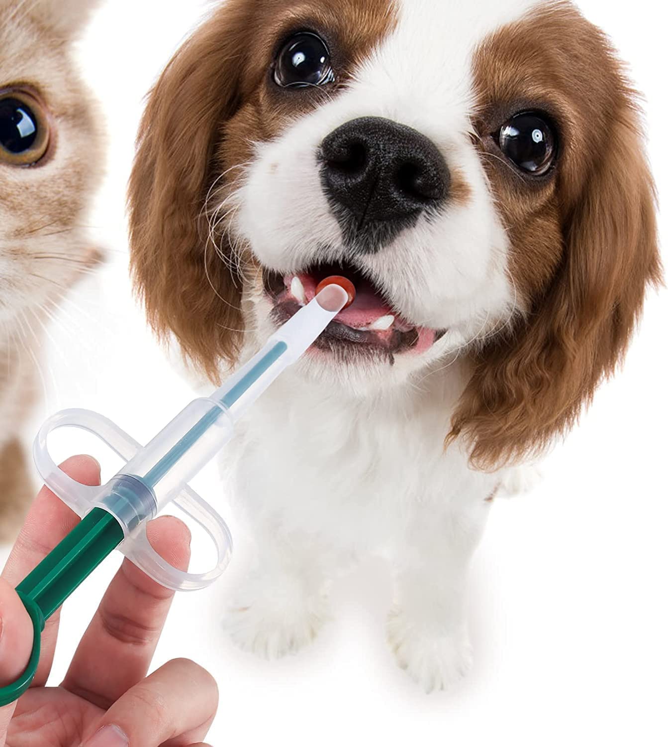 Pet Feeding Kit - Syringe Feeding Tool With Soft Tip For Cats, Dogs And Small Animals