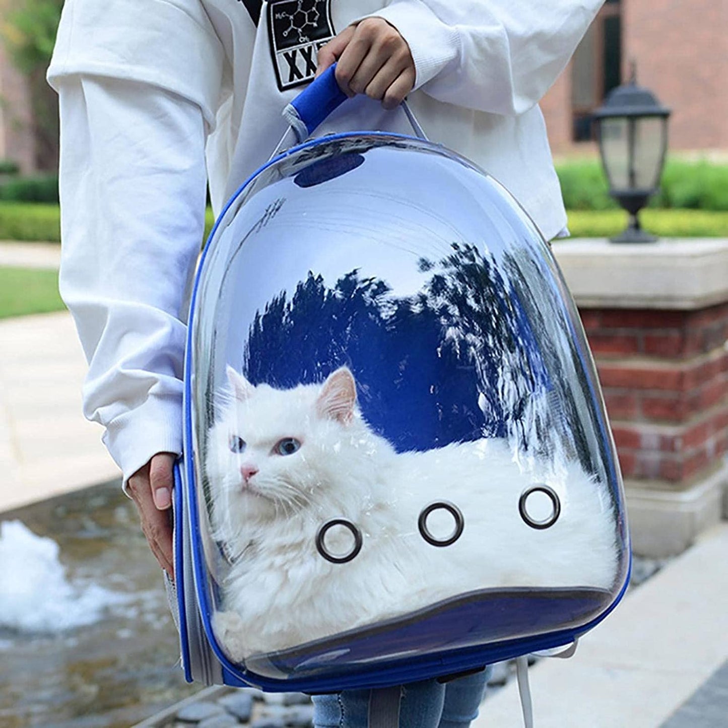 Breathable Capsule Puppy Cat Backpack Carrier Bag