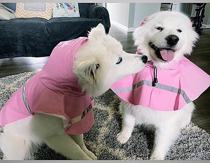 Fashionable Dog Raincoat - Lightweight Adjustable Reflective