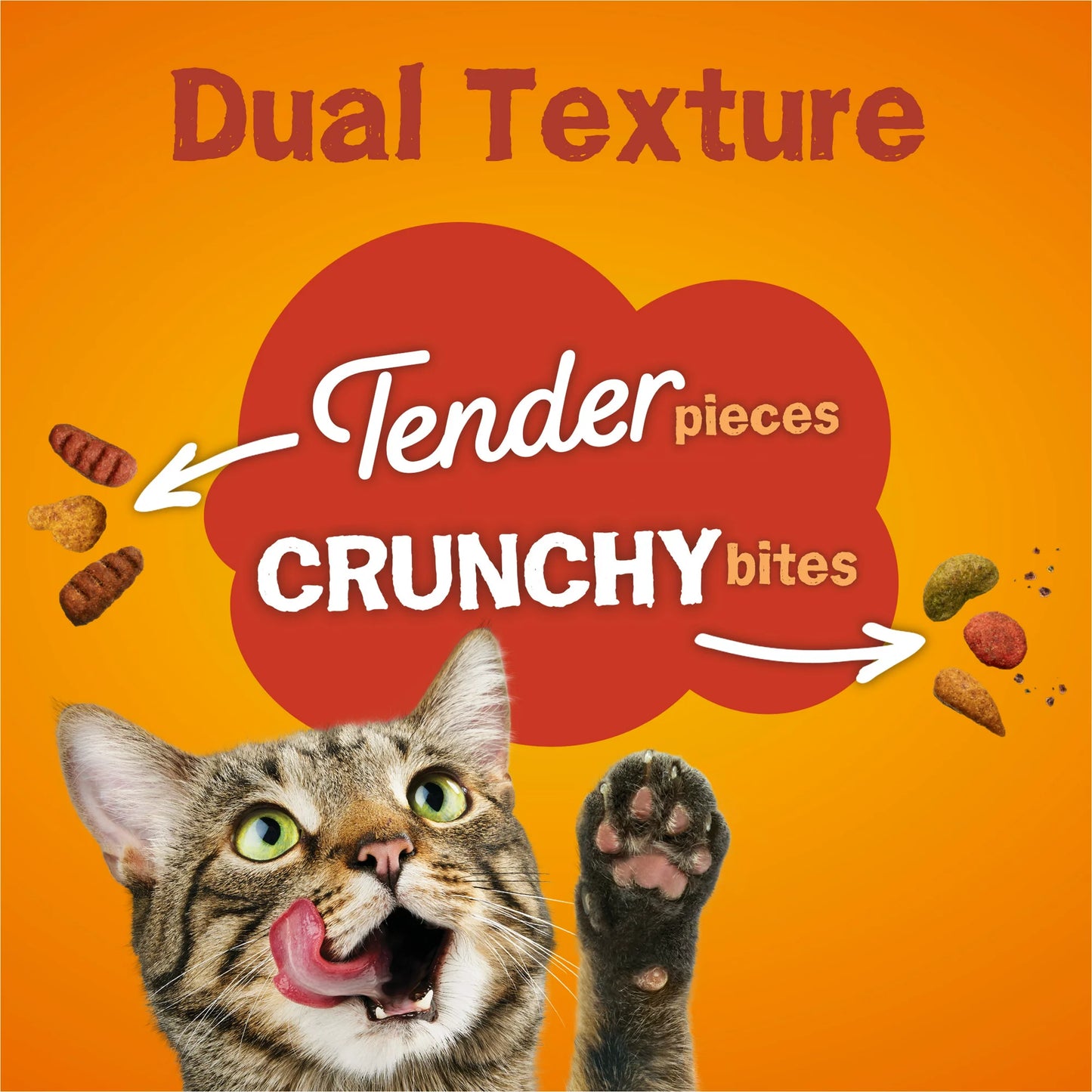 Friskies Tender & Crunchy Combo With Flavors of Chicken, Beef, Carrots & Green Beans Dry Cat Food