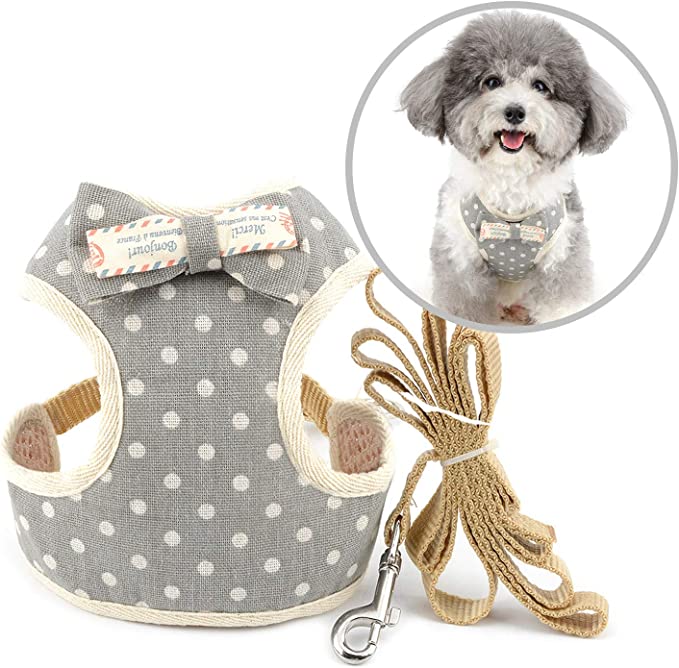 Pet Tuxedo Harness and Leash Set