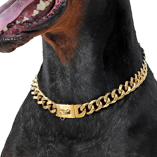 Gold Chain Dog Collar with Secure Snap Buckle