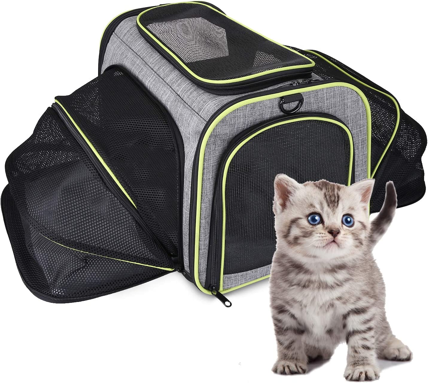 Airline Approved Expandable Pet Carrier