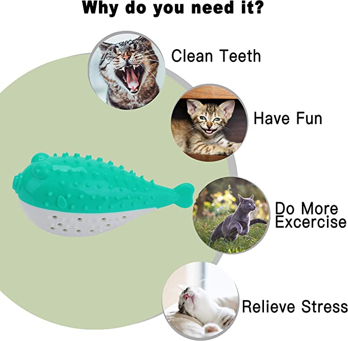 Cat Toothbrush Toy