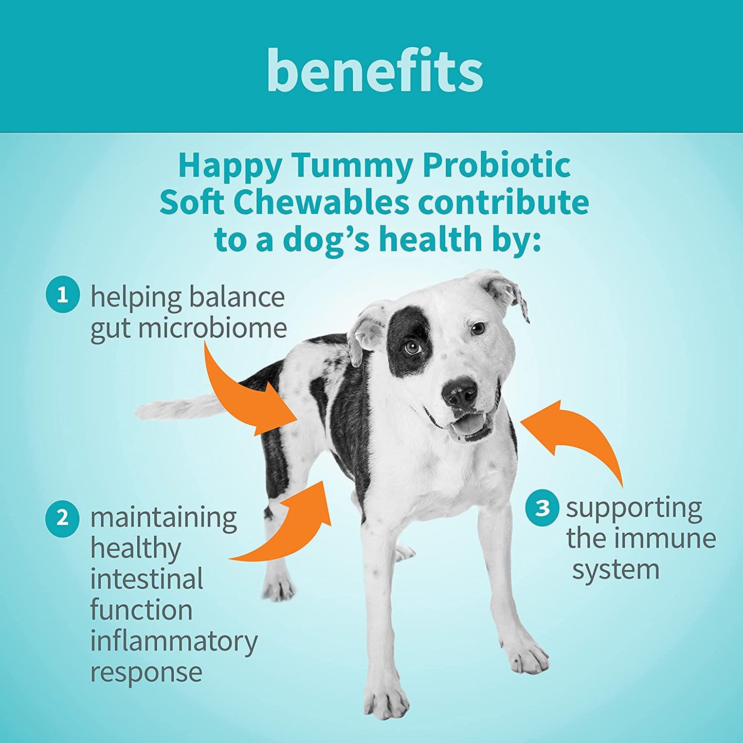 Happy Tummy Probiotic Soft Chewables for dogs, 5.3 oz, (approx. 60 count)