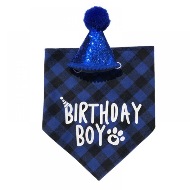 Dog Birthday Costume set