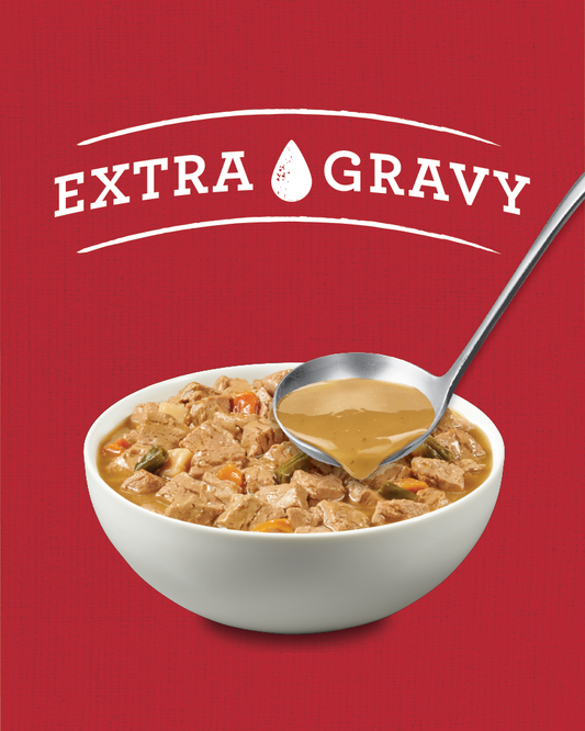 Purina ALPO Prime Cuts® With Turkey & Wholesome Veggie Accents in Gravy Wet Dog Food