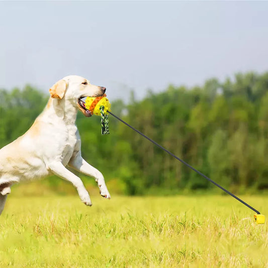 Interactive Tug of War Stake Dog Toy for Puppies and Large Dogs