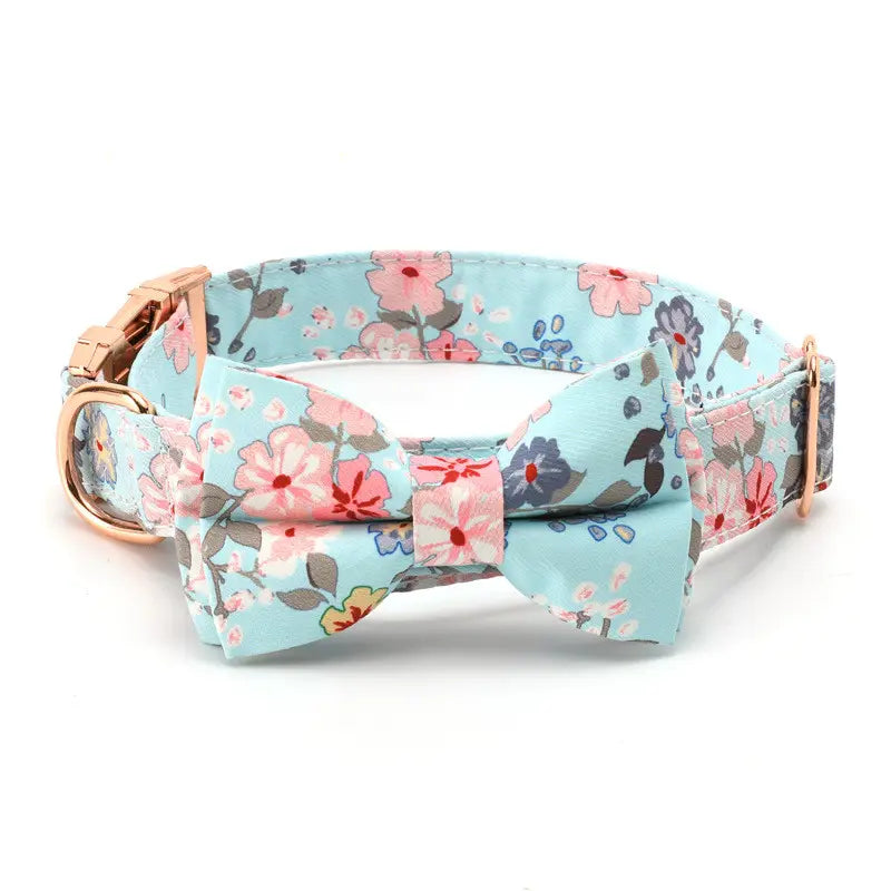 Bow Tie Collar