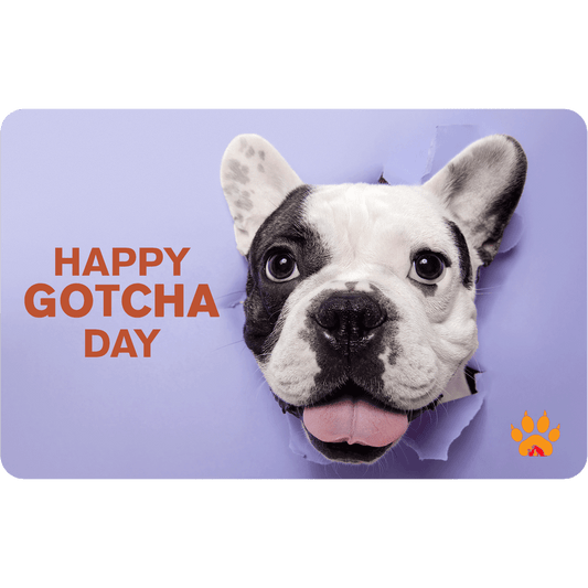 Happy Gotcha Day - Paws and Claws Digital Gift Card