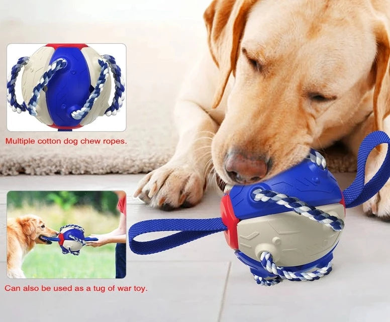 Large 2-Way Durable Ball Chew Toy