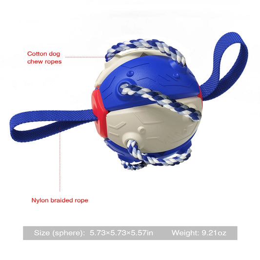 Large 2-Way Durable Ball Chew Toy