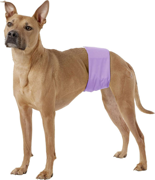 Washable Male Dog Diaper