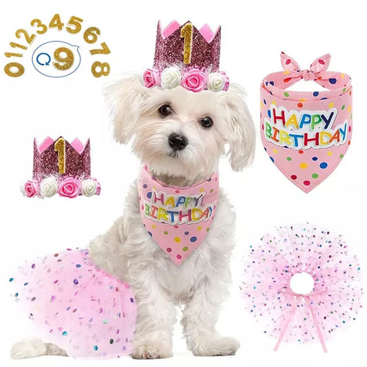 Girl Dog Birthday Party Costume Set