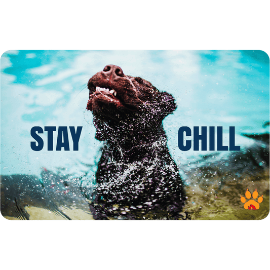 Stay Chill - Paws and Claws Digital Gift Card