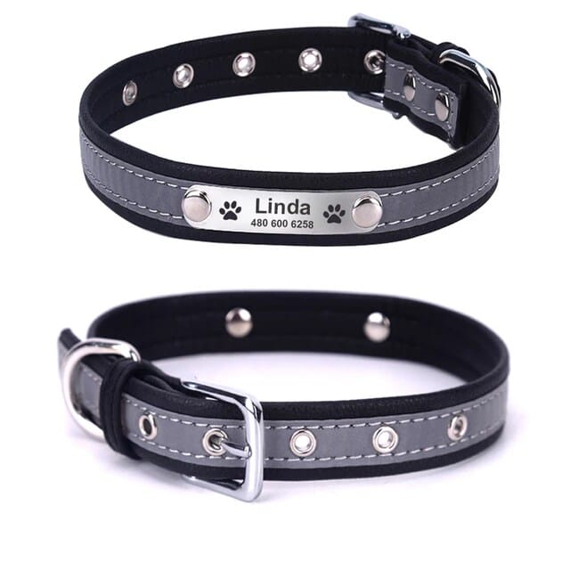 Personalized Pet Collar