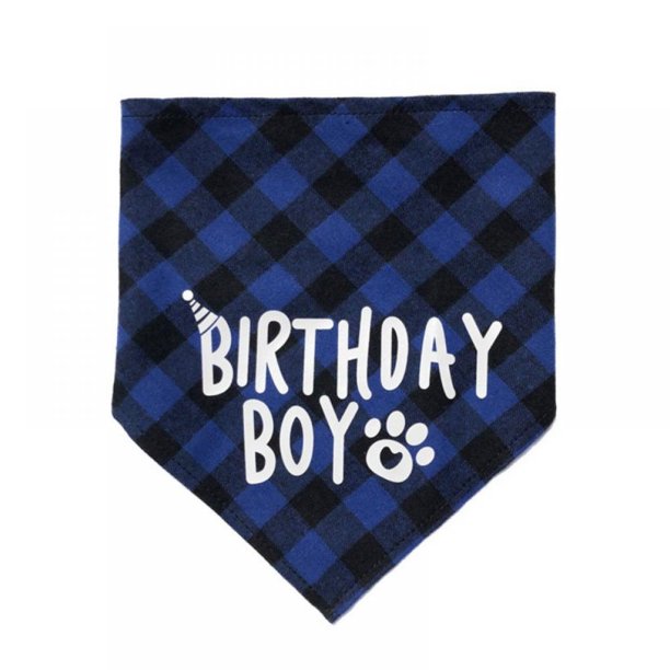 Dog Birthday Costume set