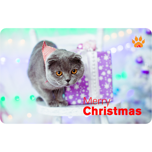 Merry Christmas Digital Gift Card