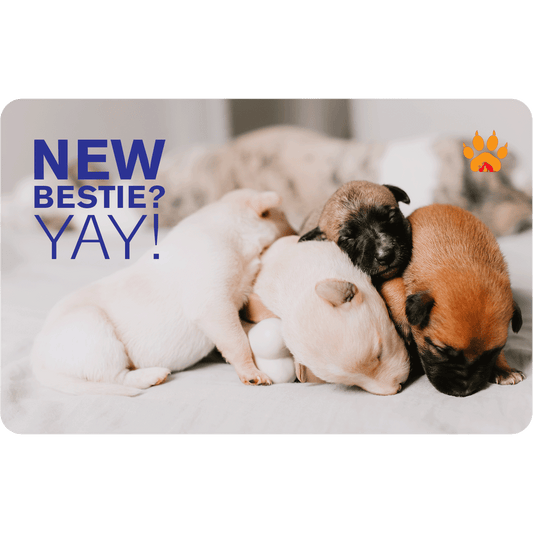 New Bestie? Yay! - Paws and Claws Digital Gift Card