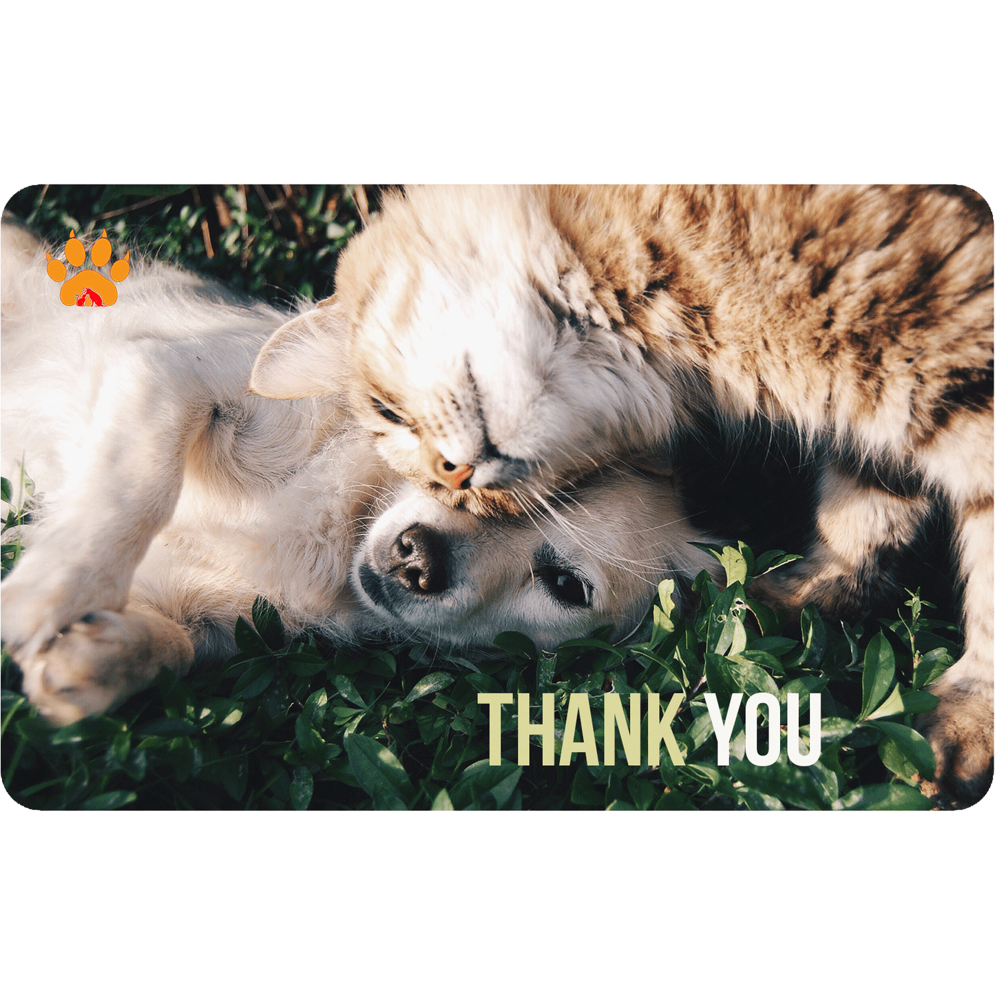 Thank You - Paws and Claws Digital Gift Card